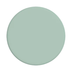 PopSockets Light Green