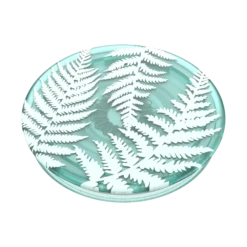 PopSockets PlantCore Fern -PopSockets Soldes PopPlant Fern 02 Collapsed