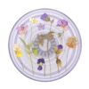 PopSockets PlantCore Purple Fields 1 PopSockets PlantCore Purple Fields -PopSockets Soldes PopPlant Purple Fields 01 Top