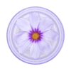 PopSockets PlantCore Purple Cosmo -PopSockets Soldes PopPlant Purple Cosmo 01 Front