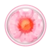 PopSockets Pressed Flower Globe Pink Daisy 1 PopSockets Pressed Flower Globe Pink Daisy -PopSockets Soldes Pressed Flower Globe Pink Daisy 01 Top