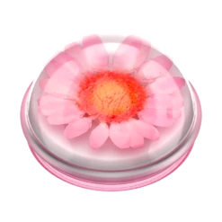 PopSockets Pressed Flower Globe Pink Daisy -PopSockets Soldes Pressed Flower Globe Pink Daisy 02 Collapsed