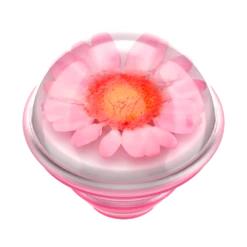 PopSockets Pressed Flower Globe Pink Daisy -PopSockets Soldes Pressed Flower Globe Pink20Daisy 08 Top Only