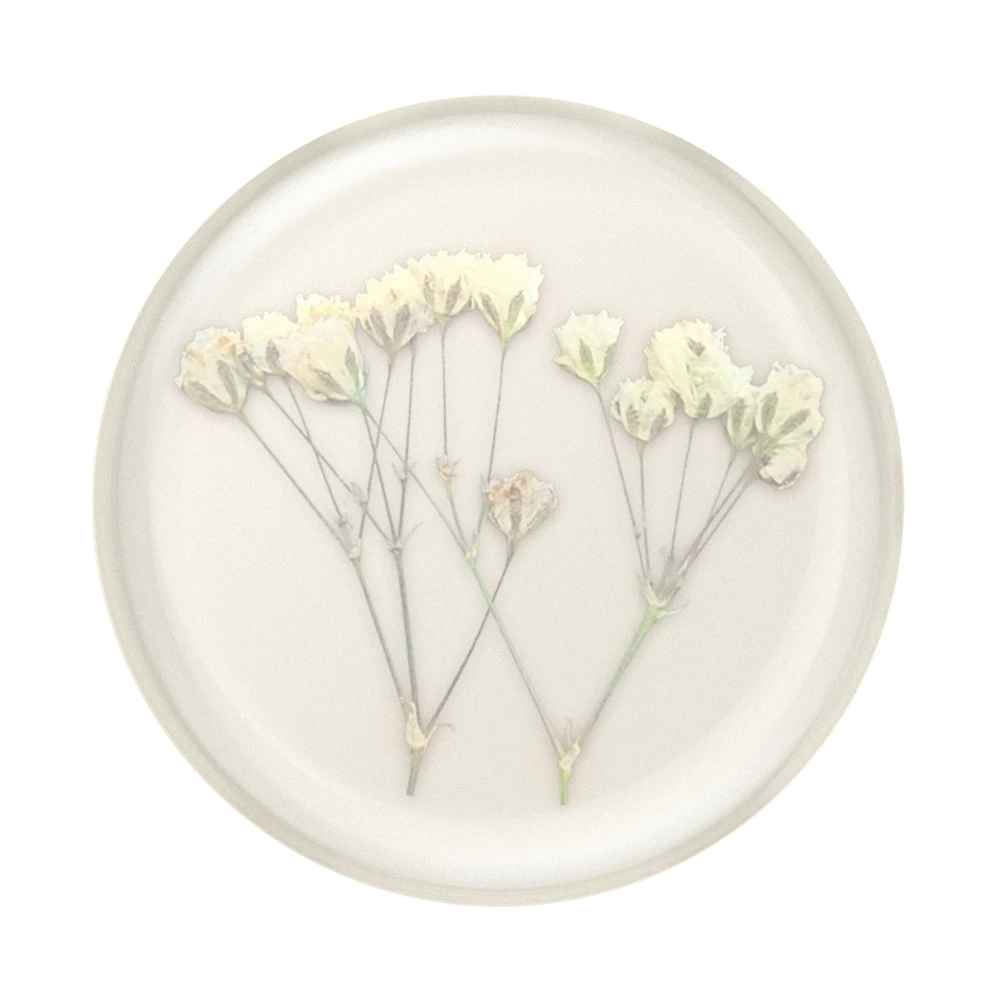 PopSockets Pressed Flower Baby's Breath 3 PopSockets Pressed Flower Baby's Breath