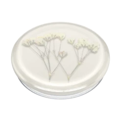 PopSockets Pressed Flower Baby's Breath 12 PopSockets Pressed Flower Baby's Breath -PopSockets Soldes Pressed Flower Babys20Breath 02 Collapsed