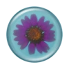 PopSockets Pressed Flower Purply Daisy 1 PopSockets Pressed Flower Purply Daisy -PopSockets Soldes Pressed Flower Purple Daisy 01 Top