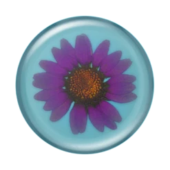 PopSockets Pressed Flower Purply Daisy