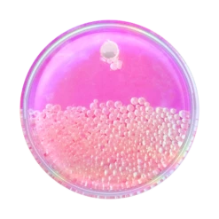 PopSockets Tidepool Bubble Pink