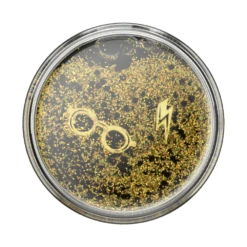 PopSockets Harry Potter — The Boy Who Lived Tidepool